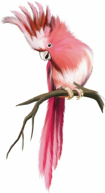 Elliott Feather With Birds Tattoo, Parrot Painting, Parrots Art, Bird Artwork, Pink Bird, Bird Pictures, Birds Tattoo, Color Pencil Art, Tropical Birds