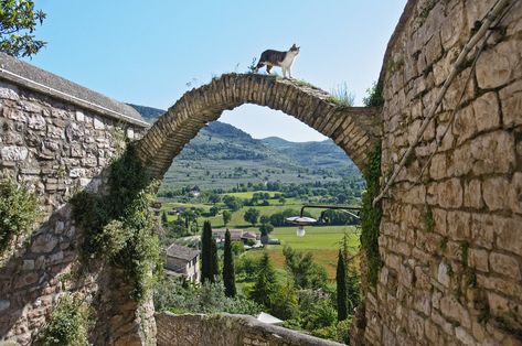 Visiting Umbria — Michelle Damiani Backpack Through Europe, Pasta Alla Norma, Salt Water Taffy, Famous Waterfalls, Sneeze Guards, Italian Village, How To Make Pesto, Living In Italy, Medieval Town