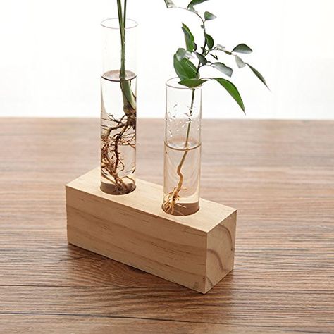 Ivolador Crystal Glass Double Test Tube Vase in Triangle Wooden Stand for Hydroponic Plants Home Garden Decoration: Amazon.ca: Home & Kitchen Test Tube Vase, Bulb Vase, Hydroponic Plants, Wooden Rack, Plant Vase, Home Decor Vases, Test Tube, Wooden Stand, Container Plants