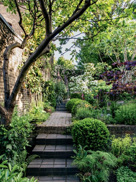 Bay Cottage, Dutch Gardens, Garden Canopy, London Garden, City Garden, Flowers Wallpaper, Back Gardens, Small Garden Design, Courtyard Garden