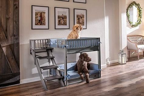 Pet Bunk Bed, Dog Bunk Beds, Dog Bedroom, Washing Station, Dog Cots, Dog Crate Bed, Dog Washing Station, Dog Tricks, Crate Bed