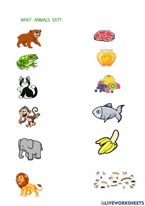 What Animals Eat Worksheet, What Animals Eat, Classifying Animals, Animal Riddles, Online Activities, Chapter 3, School Subjects, Preschool Worksheets, Online Workouts