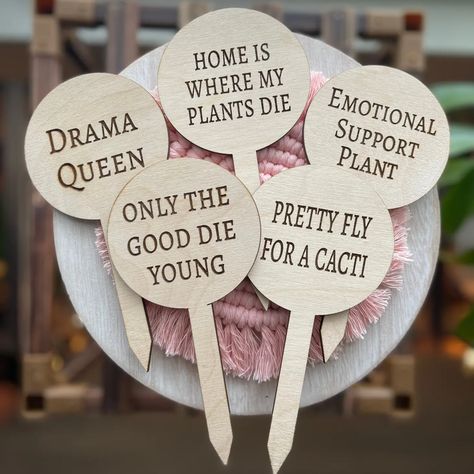 Faire — Unique wholesale merchandise for your store. Funny Plant Quotes, Plant Quotes, Relatable Sayings, Plant Signs, Plants Quotes, Plant Stakes, Pretty Fly, Plant Markers, Different Quotes