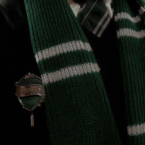 Marauders Era Aesthetic, Young Tom Riddle, Slytherin Outfit, Era Aesthetic, Harry Potter Oc, Welcome To Hogwarts, Severus Rogue, Draco Malfoy Aesthetic, Slytherin Pride