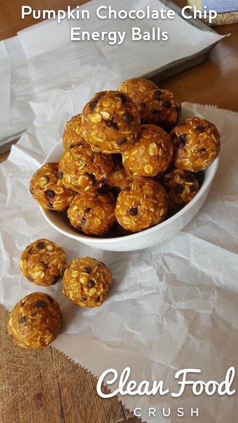 Chocolate Chip Energy Balls, Pumpkin Energy Balls, Weight Watcher Desserts, Overnight Oat, Pumpkin Chocolate Chip, Low Carb Dessert, Clean Food Crush, Food Crush, Sweet Pumpkin