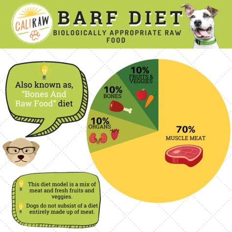 BARF Diet | Raw Food Diet For Dogs | Biologically Appropriate - Cali Raw Nutrition How Much Raw Food To Feed Dog, Freeze Dried Raw Dog Food, Raw Diet For Dogs Beginner, Barf Dog Food Recipes, Raw Food Diet For Dogs Beginner, Dog Raw Food Diet For Beginners, Raw Dog Food Recipes For Beginners, Raw Diet For Dogs, Raw Food For Dogs