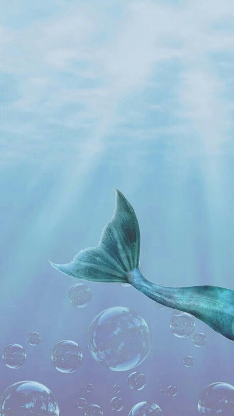 Mermaid Mermaid Wallpaper Iphone, Mermaid Wallpaper, Ideas For Painting, Mermaid Wallpapers, Mermaid Aesthetic, Mermaids And Mermen, Mermaid Life, 背景 シンプル, Under Water