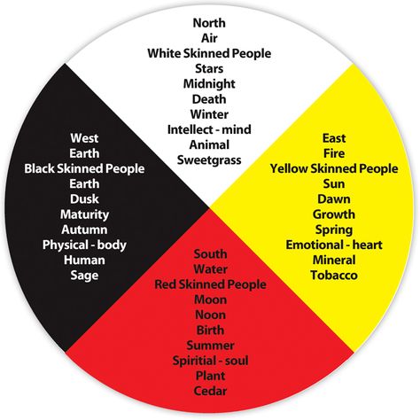 The Aboriginal medicine wheel represents the alignment and continuous interaction of the physical, emotional, mental and spiritual realities. Native American Medicine Wheel, Indigenous Studies, Aboriginal Education, Indigenous Education, Native American Spirituality, Circle Diagram, Spiritual Reality, Sacred Circle, Native American Symbols