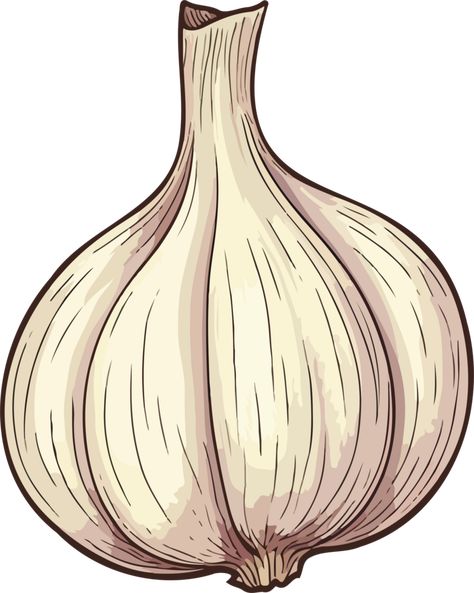 AI generated garlic clipart design illustration Garlic Drawing, Garlic Illustration, Clipart Design, Doodle Drawings, Free Png, Design Illustration, Cute Drawings, Illustration Design, Garlic