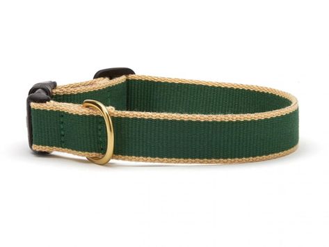 Green Market, Dog Bakery, Teal Yellow, Small Breed, Trim Color, Chic Accessories, Coast Guard, Color Collection, Collar And Leash