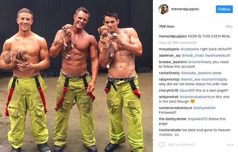 Guys With Puppies, Firemen Pictures, Male Firefighter, Three Puppies, Firefighter Retirement, Volunteer Firefighter, Types Of Guys, Twitter Quotes Funny, Men In Uniform