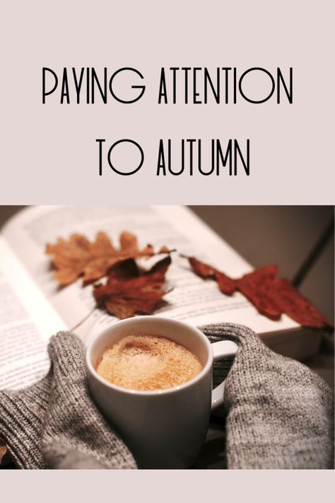 🍂 Paying attention to fall and embracing a season of surrender... surrender, fall, autumn, faith Fall Devotionals For Women, Fall Vision Board, Simple Cat Makeup, Laura Thomas, Women Devotional, Winter Getaways, Business Mom, Fall Brunch, Grace Christian