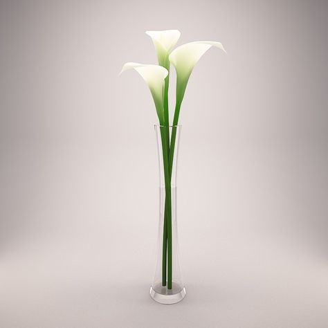 Calla Lillies Centerpieces, Calla Lily Flower, Large Flower Arrangements, Ikebana Arrangements, One Flower, Flower Guide, Flower Arrangements Simple, Tall Vase, Beautiful Flower Arrangements