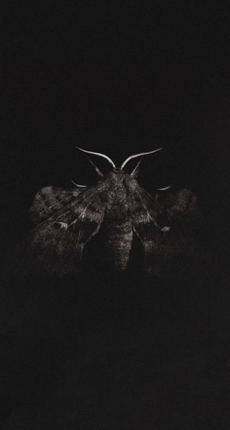 Moth Wallpaper Iphone, Moth Photography, Sarah Gillespie, Moth Wallpaper, Gif Background, Goth Wallpaper, Gothic Wallpaper, Wallpaper Phone, Aesthetic Iphone Wallpaper