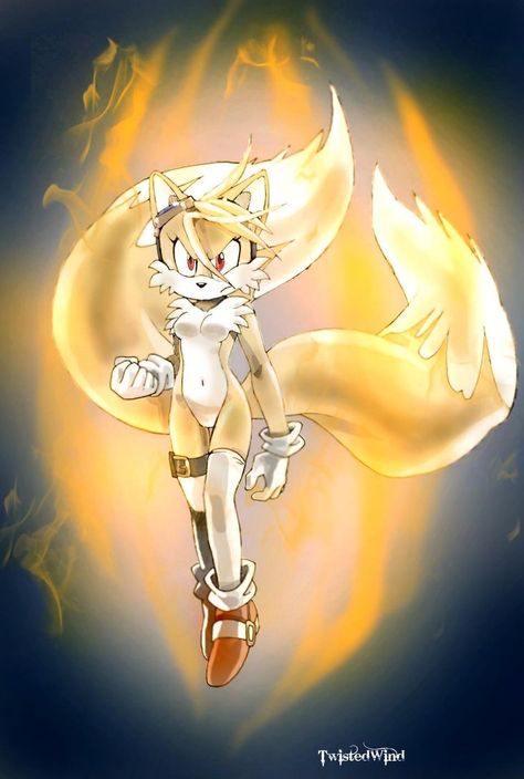 the power of the emeralds by twisted-wind on DeviantArt Miles Prower, Game Sonic, Amy The Hedgehog, Arte Do Kawaii, Hedgehog Movie, Rouge The Bat, Sonic And Amy, Sonic Funny, Sonic Fan Characters