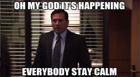 The Office Quotes Funny Michael Scott, Tori Spring, Office Quotes Funny, Michael Scott The Office, Alice Oseman, Office Memes, Office Quotes, Senior Quotes, Keep Calm Quotes