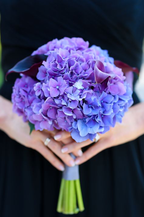 Bethany's Purple Hydrangea Bridesmaid Bouquets Purple Hydrangea Bouquet Wedding, Posey Bouquet, Hydrangea Bridesmaid, Dark Purple Hydrangea, Purple Hydrangea Bouquet, Purple Hydrangea Wedding, Hydrangea Bridesmaid Bouquet, Purple Bridesmaid Bouquets, Wedding Cake Hydrangea