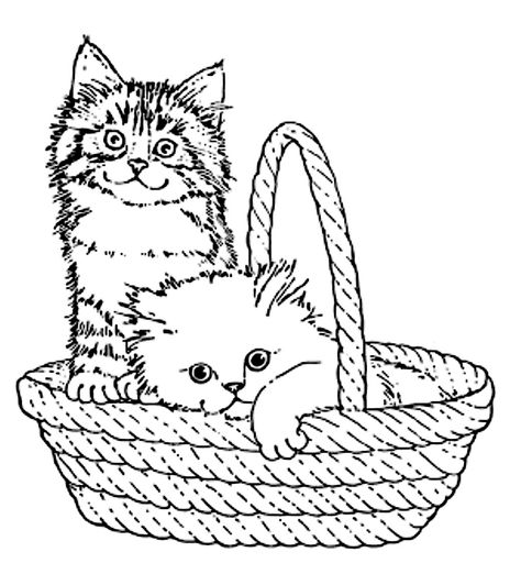 kittens in Basket Cat In Basket, Basket Drawing, Pyrography Patterns, Free Adult Coloring Pages, Cat Coloring Page, Digi Stamps, Cat Colors, Adult Coloring Books, Art Quilts