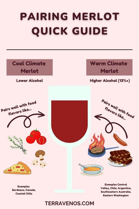 Merlot Food Pairing, Merlot Wine Pairing Food, Merlot Pairing, Cooking Knowledge, Pairing Ideas, Climate Warming, Merlot Wine, Wine Craft, Wine Club