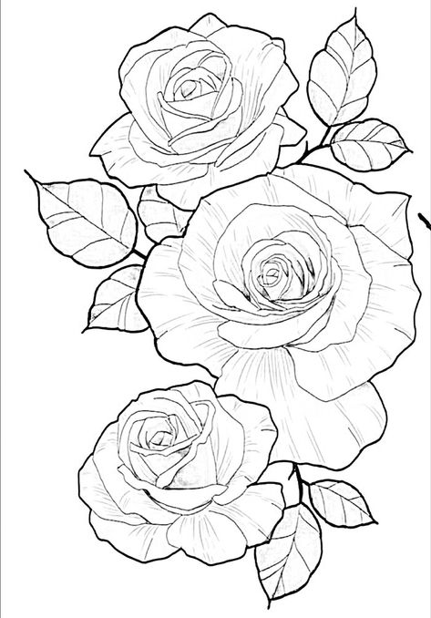 Roses Outline Drawing, Roses Outline Tattoo, Rose Outline Tattoo Design, Roses Tattoo Drawing, Rose Tattoo Outline Drawing, Rose Sketch Simple, Rose Tattoo Design Outline, Rose Tattoo Stencil Outline, Roses Tattoo Stencil