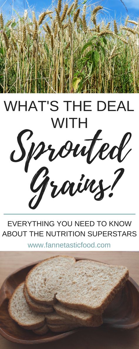 Sprouted grains are popping up in everything from bread to cereal to crackers, but what's the deal with them? Here's everything you need to know about these nutritional superstars! 7 Grain Bread Recipe, Nutrition Knowledge, Ancient Nutrition, Sprouted Grain Bread, Sprouted Bread, Sprouted Grains, Grain Bread, Healthier Options, Simple Nutrition