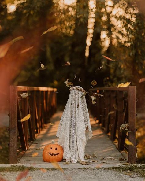 Halloween Pictures Family, Halloween Costume Mini Session, Halloween Mini Session Outdoor, Halloween Mini Session Studio, Toddler Halloween Photoshoot, December Photoshoot Ideas, Kids Halloween Photoshoot, Halloween Baby Photos, Halloween Portraits