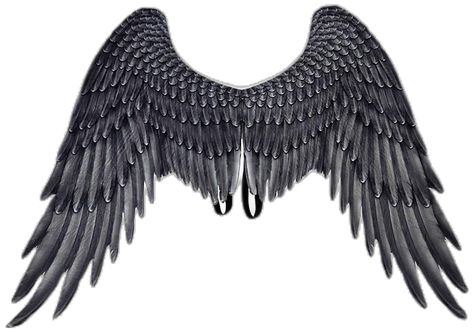 Black Wings Costume, 3d Angel Wings, Angel Wings Halloween, Angel Wings Cosplay, Halloween Wings, Ali D'angelo, Angel Wings Costume, Cosplay Wings, Adult Fancy Dress