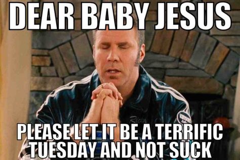 terrific tuesday meme Fantasy Football Meme, Happy Tuesday Meme, Tuesday Quotes Funny, Tuesday Meme, Funny Work Memes, Terrific Tuesday, Monday Memes, Tuesday Quotes, Tuesday Humor