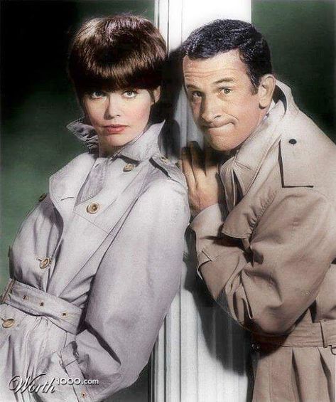 Barbara Feldon, Agent 99, Don Adams, 60s Tv Shows, 1960s Tv Shows, Spy Shows, Fritz Lang, American Comedy, Get Smart