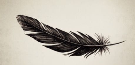 Feather Tattoo Back Of Neck, Feather Crown Tattoo, Black Feather Drawing, Realism Feather Tattoo, Curved Feather Tattoo, Feather Birds Tattoo Design, Western Feather Tattoo, Raven Feather Tattoo, Crow Feather Tattoo