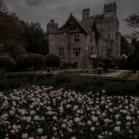 Dark aesthetic Istj Aesthetic, Mbti Istj, Pretty Flowers Pictures, Myers Briggs Personality Types, + Core + Aesthetic, Infp, Flower Pictures, Cologne Cathedral, Aesthetic Photography