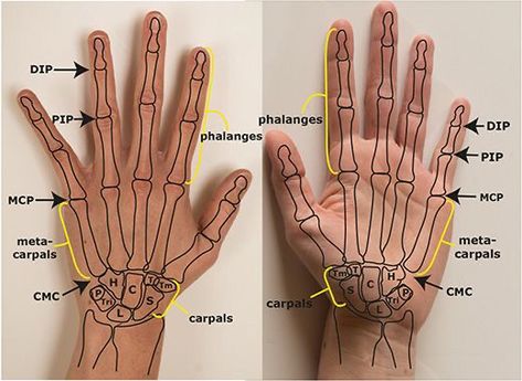 Skeleton Hands Drawing, Blitz Tattoo, Tattoo Main, Sharpie Tattoos, Pen Tattoo, Hand Doodles, Skeleton Hand Tattoo, Hand Pain, Skeleton Hand