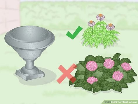 How to Plant in Urns: 13 Steps (with Pictures) - wikiHow Garden Urns Planting Ideas, Plants In Urns, Concrete Urn Planter Ideas, Cast Iron Urn Planter Ideas, Urn Planters Ideas, Plants For Urns, Garden Urns Ideas Planters, Outdoor Urn Planter Ideas, Urn Plant