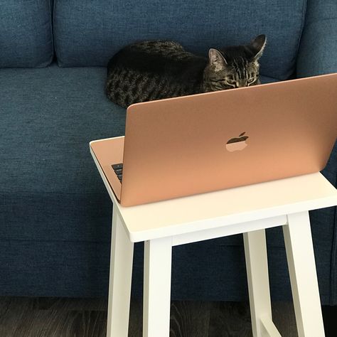 I'm loving my rose gold MacBook Air....and so is kitty. Macbook Air Rose Gold Aesthetic, Macbook Air M1 Gold, Gold Macbook Air, Rose Gold Macbook Air, Luxury Gadgets, Rose Gold Macbook, Rose Gold Aesthetic, Macbook Accessories, Empire Series