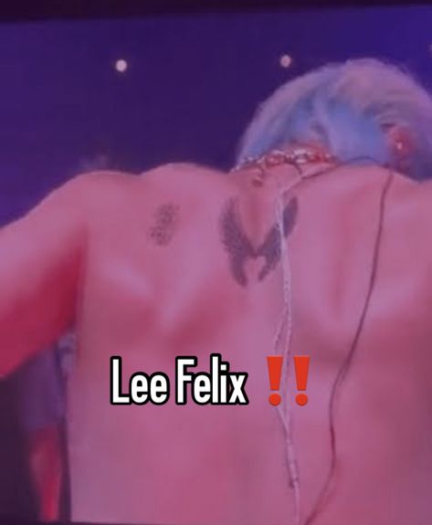 Felix Back Tattoo, World Domination, Back Tattoo, Lee Know, Tattoos