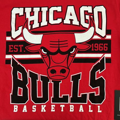 Chicago Bulls Aesthetic, Chicago Bulls Wallpapers, Logo Chicago Bulls, Bull Artwork, Jordan Design, Chicago Bulls Team, Nba Bulls, Bulls Wallpaper, Chicago Bulls Logo