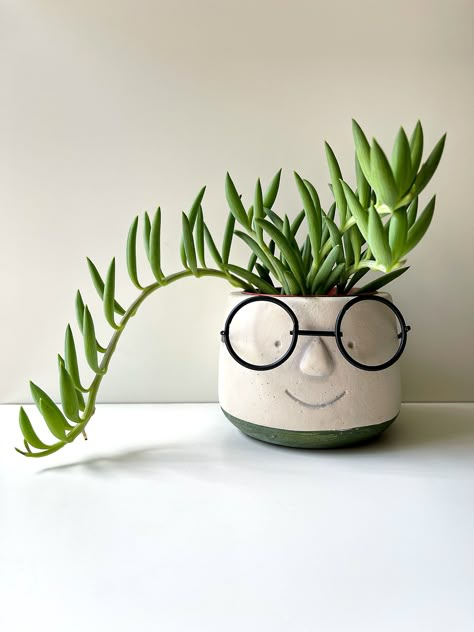 "Face Pot With Eye Glasses ~ Head Planter ~ Nerd ~ Head Pot ~ Genius ~ Poindexter Planter Cute head planter with wire rimmed glasses. Great gift for a coworker ~ yourself ~ or the genius / nerd in your life. Heavy weighted cement planter with rubber feet to prevent scratching. No drainage hole. Holds a 2 - 3 inch plant. Planters are made of poured cement - and may have small air bubbles or other marks on the surface. This pot is also available in a larger ~ 4 inch size which can be found in the Quirky Plant Pots, Pot Plant Design, Clay Pot With Face, Ceramic Face Planters, Quirky Planters, Plant Pot With Face, Face Pots Head Planters Diy, Plant Pot Faces Diy, Face Ceramic Pot