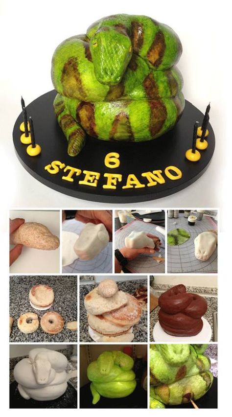 Teddy Cake, Snake Cake, Jungle Cakes, Snake Cakes, Fondant Recipe, Shaped Cake, 3d Cakes, Cake Stuff, Animal Cakes