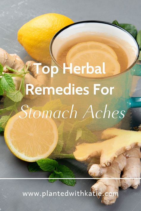 Herbal Remedies for Stomach Pain Tea For Stomach Ache, Remedies For Stomach Pain, Stomach Pain Relief, Stomach Ache Remedy, Stomach Remedies, Natural Remedies For Migraines, Pain Relief Remedies, Tummy Ache, Stomach Ulcers