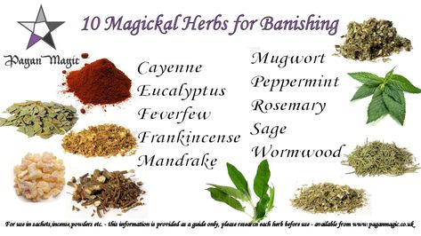 Banishing Herbs And Oils, Banishing Herbs Witchcraft, Herbs For Uncrossing, Herbs For Hexing, Herbs For Curses, Hex Breaking Herbs, Curse Herbs, Hexing Herbs, Herbs For Banishing