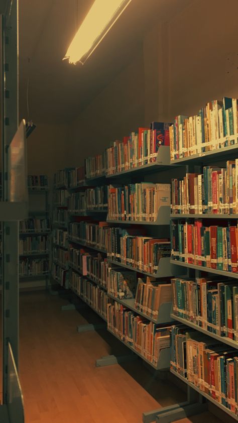 Library At Night Aesthetic, Creepy Library Aesthetic, 80s Library, Public Library Aesthetic, Creepy Library, Books Aesthetic Library, Liminal Library, Horror Academia, Maren Yearly