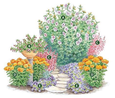 Hummingbird Garden Plan, Grow A Garden, Flower Garden Plans, Butterfly Garden Design, Hummingbird Plants, Hummingbird Flowers, Corner Garden, Hummingbird Garden, Flower Garden Design