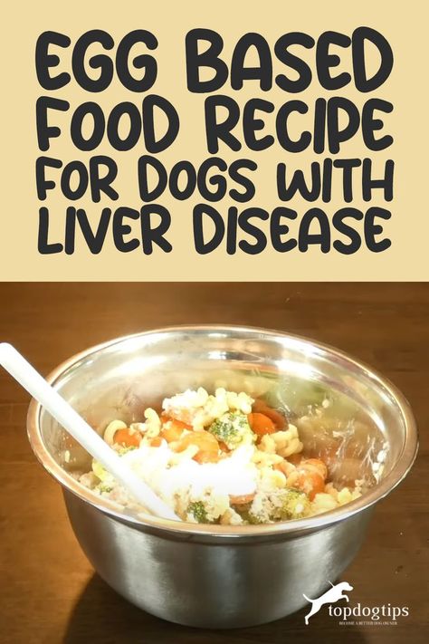 Recipe: Egg Based Food for Dogs with Liver Disease Food For Liver, Foods For Liver Health, Liver Healthy Foods, Liver Diet Recipes, Healthy Liver Diet, Dog Treats Homemade Easy, Food For Dogs, Diy Dog Food, Make Dog Food