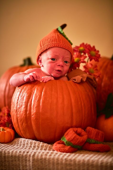 My First Halloween Pumpkin, First Halloween, Baby Halloween, Halloween Pumpkins, Pumpkins, Halloween