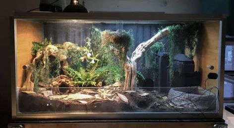 Product Review: Zen Habitats 4'x2'x2' Reptile Enclosure | ReptiFiles Pvc Snake Enclosure, Zen Habitat Bearded Dragon, Uromastyx Enclosure, Zen Habitats, Lizard Enclosure, Snake Habitat, Uromastyx Lizard, Leopard Gecko Habitat, Gecko Habitat