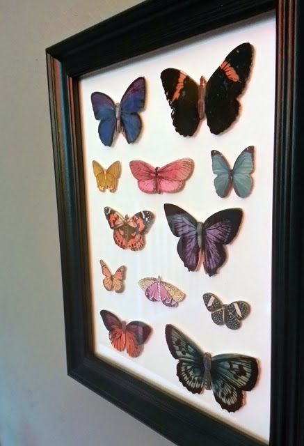 The Duck Soap Box: Faux Butterfly Taxidermy for $10 Faux Taxidermy Bugs, Diy Faux Butterfly Taxidermy, Faux Bug Taxidermy, Faux Insect Taxidermy, Faux Butterfly Taxidermy, Butterfly Taxidermy Decor, Taxidermy Wall Display, Taxidermy Art Weird, Stall Aesthetic