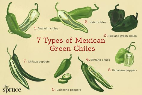 illustration depicting types of mexican green chiles Types Of Green, Green Chili Sauce, Vegetable Chili, Chile Recipes, Canned Green Chilies, Green Chili Peppers, Hatch Green Chile, Hot Pepper Seeds, Green Chiles