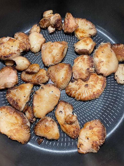 Cooking Lion's Mane Mushroom - From Michigan To The Table Lions Mane Shrimp, Air Fryer Lions Mane Mushrooms, Grilled Lions Mane Mushroom, Lions Mane Mushroom Recipe Air Fryer, Cooking Lions Mane Mushroom, Lions Mane Mushroom Recipes, Lions Mane Mushroom Recipe, Mushroom Food, Creative Meals