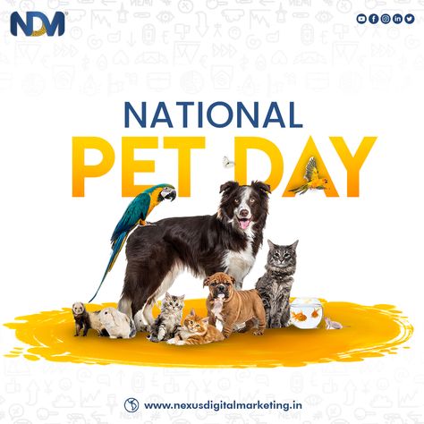 Pets give us unconditional love and care. Let us also reciprocate the same towards them. Happy National Pet Day!𝙐𝙥𝙨𝙘𝙖𝙡𝙚 𝙮𝙤𝙪𝙧 𝙗𝙪𝙨𝙞𝙣𝙚𝙨𝙨 𝙬𝙞𝙩𝙝 𝙪𝙨 •𝗰𝗼𝗻𝘁𝗮𝗰𝘁 𝘂𝘀 𝗼𝗻: Email: info@nexusdigitalmarketing.in Phone: +919321287732 Website: www.nexusdigitalmarketing.in #CrazyCreativeUniverse #NexusDigitalMarketing #NDM #ndmpvtltd #ndmmumbai #mumbai #nationalpetday #dogsofinstagram #dogs #dog #puppy #dogoftheday #doglover #cats #pet #cat #petsofinstagram #ilovemydog #puppylove Linkedin Template, National Pet Day, Cats Pet, Pet Day, Pet Cat, Dog Puppy, Love And Care, Unconditional Love, Dog Days