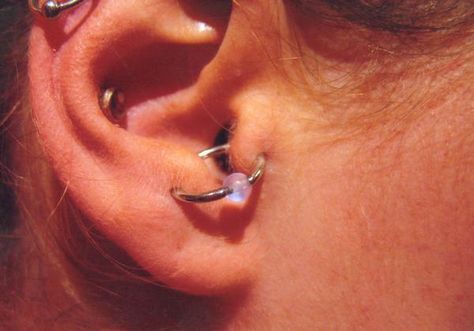 tragus to anti tragus orbital Orbital Piercing, Anti Tragus Piercing, Anti Tragus, Preparing For Marriage, Ear Parts, Types Of Piercings, Tragus Piercing, Tragus Piercings, Body Modifications